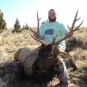2013 OR Elk (Dylan)