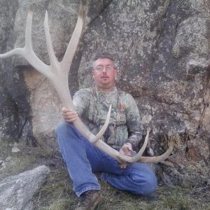 shed huntin