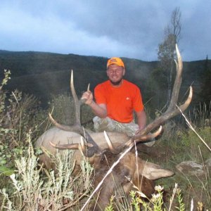 My First Bull Elk