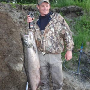 Alaska salmon