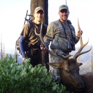 Elk2 2012