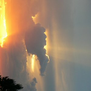 P1050682