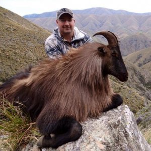 Another great Bull with an awesome coat.