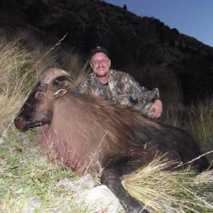 Last light monster Bull.