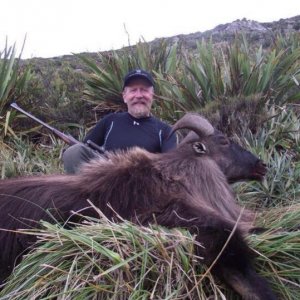 Another early season Bull harvested in the bush.