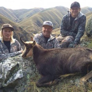 Great 9 inch Buck from June 2014 heading back to Utah.