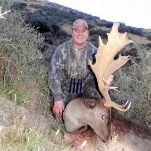 Nice Chocolate Buck.