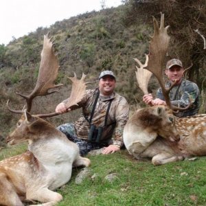 A big double in the morning. While looking for a Buck that went down in thick cover another big boy jumped up that couldn't be passed up.