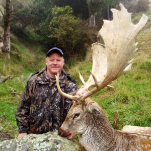 Big old 250 inch Fallow Buck