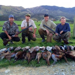 A days shooting resulted in this mixed bag of pheasant and ducks.