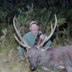 Sambar Stag. Bigger than a Red Stag and with very few free range numbers in New Zealand with a little patience and glassing will result in a trophy ve