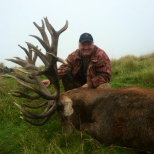 Big 34 pointed 440 inch Stag from March 2014.