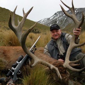 A beautiful typical shaped 8x9 Red Stag.