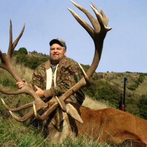 Long points and main beams makes this an impressive mount.