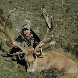 An excellent dark antler typical 7x8.