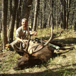 elk 09 010