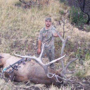russ elk 07 008