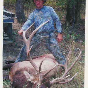 russ elk #2