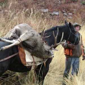 deer creek 2010 066