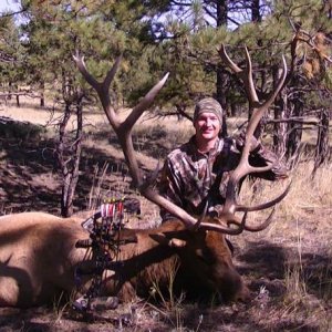 My hunting partners 2014 bull.