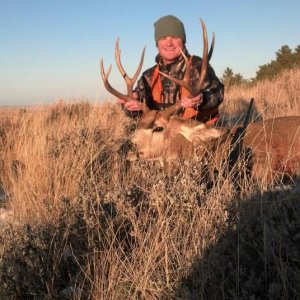 Buck