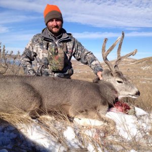 DYI - Public Land - East River 2014
He was still had soft antlers in November!