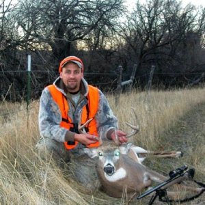 Another whitetail down.