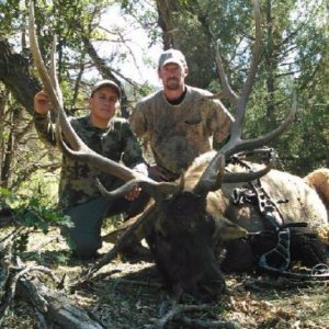 Matt's 2014 New Mexico bull