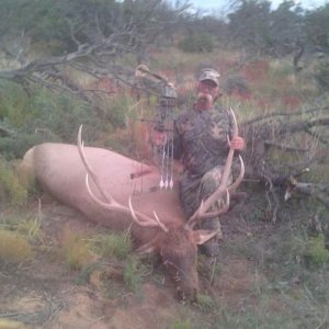 New Mexico 2013