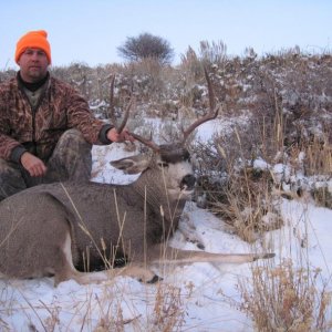 Nevada 2011