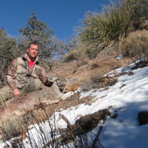 AZ Coues' in Coronado Nat'l
82 2/8"