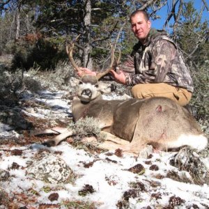 Wyoming Region Y Mule Deer
115"