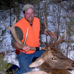 2005 bull