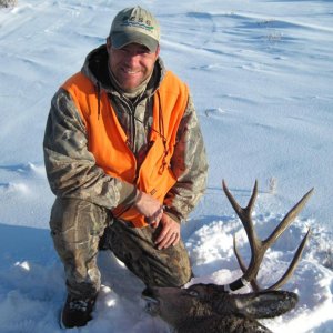 2010 mountain muley