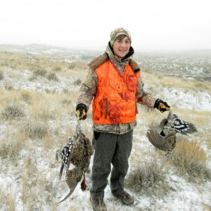 Sage grouse