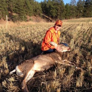 Gwen's muley doe