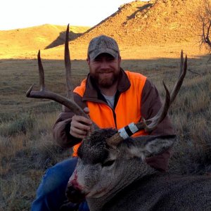 2014 muley