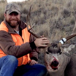 2014 muley