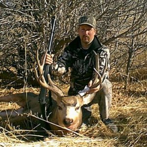 99buck1