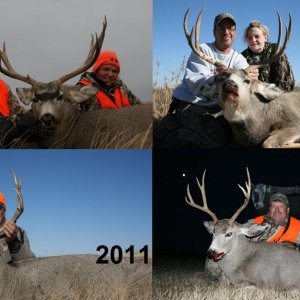 2011Group