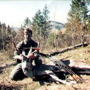 bowbuck