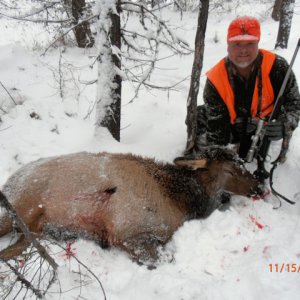 My Elk 2011 #2