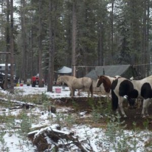 2011 Elk Camp