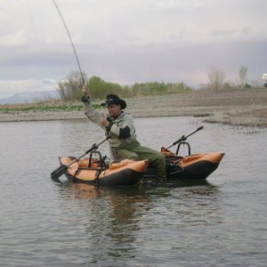 Fly fishing Minersville UT