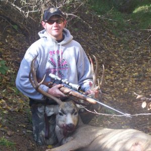 07' Mule Deer