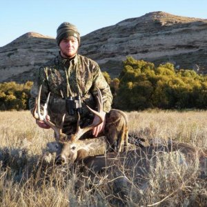 11' Whitetail