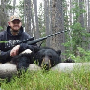 13' Bear
