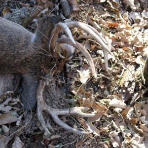 2007 private land buck (140") with estimated broken beam