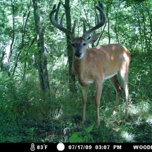 big 10 pt. killed by neighbor