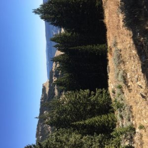 IMG 0025